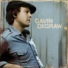 Gavin DeGraw (album)